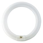 Osram T9 Lumilux Circline 32W - 840 Blanc Froid | 30cm