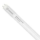 Ledvance Tube LED T8 Value (UN) High Output 8W 900lm - 840 Blanc Froid | 60cm - Équivalent 18W
