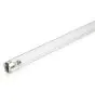 Philips T8 UV - C 25W - Ultra-violet | 44cm
