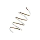 Ledvance Rubans LED Value 500 24Wlm 2450lm 24v - 840 Blanc Froid | 5M/8mm