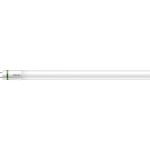 Philips MASTER LED Tube T8 (EM/Mains) Ultra Efficiency 20W 3400lm - 830 Warm Wit | 150cm - Vervangt 58W