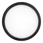 Eglo Plafondlamp Planet 1 Staal Zwart | Geschikt voor E27